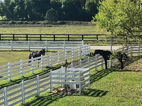 4015 Indigo Road Groveland FL 34736