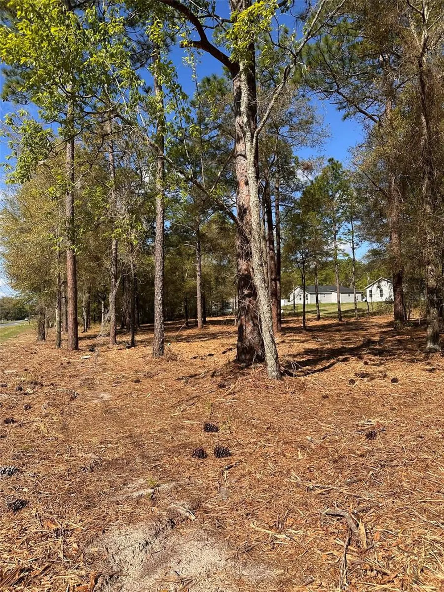0 W Highway 40 Ocala FL 34481