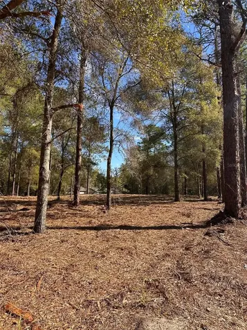 0 W Highway 40 Ocala FL 34481