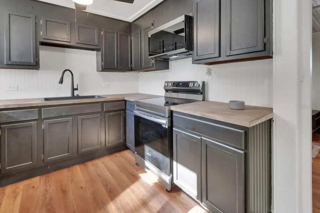 133 Lucie Avenue Deland FL 32720