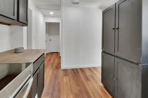 133 Lucie Avenue Deland FL 32720
