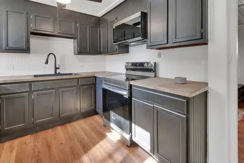 133 Lucie Avenue Deland FL 32720