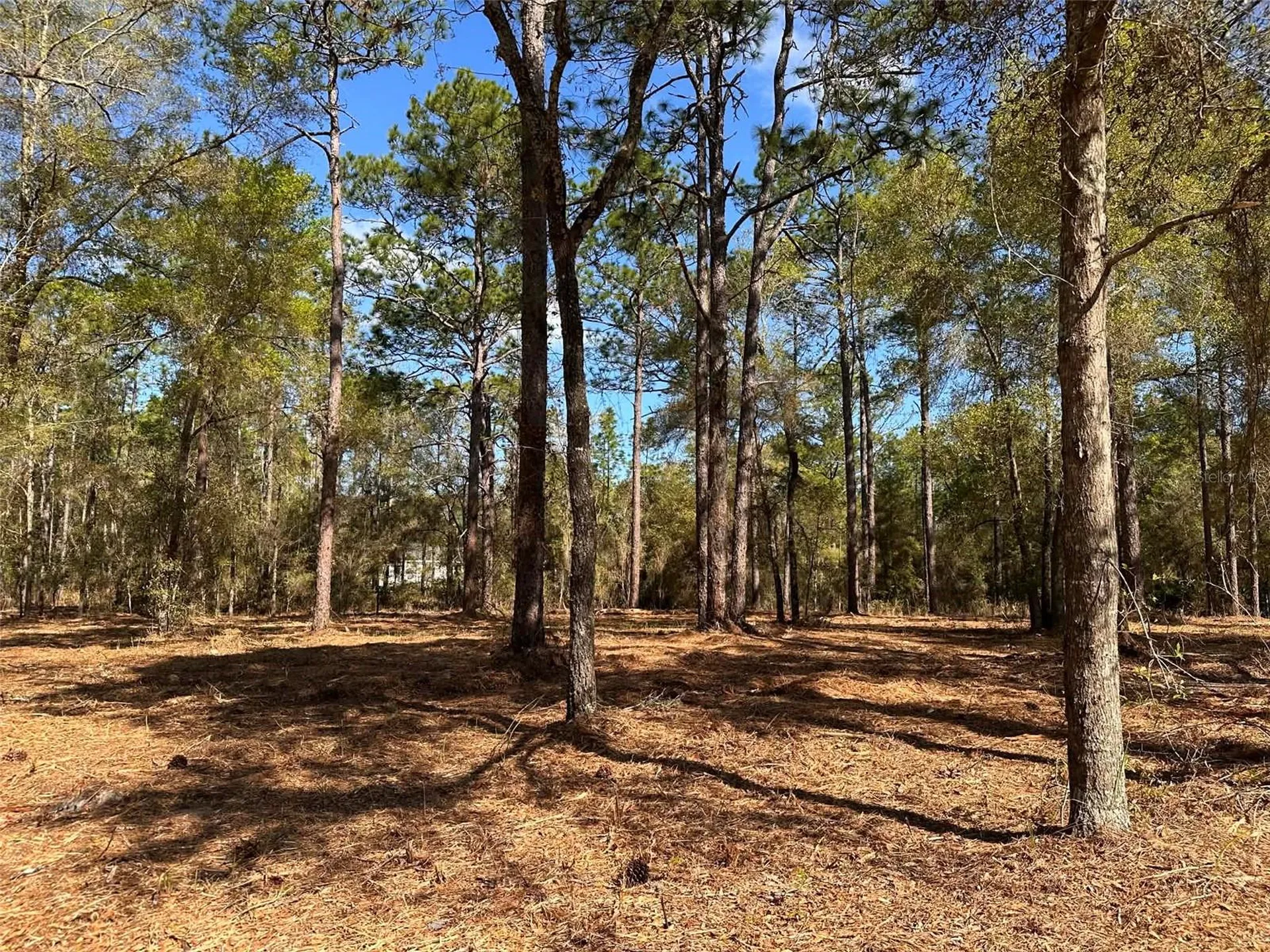 0 W Highway 40 Ocala FL 34481