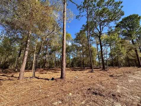 0 W Highway 40 Ocala FL 34481