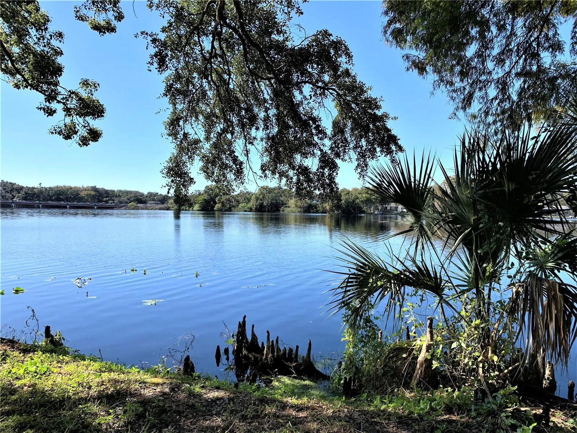 7150 E Bank Drive Tampa FL 33617