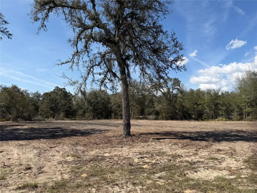 Tbd NE 106th Terrace Bronson FL 32621