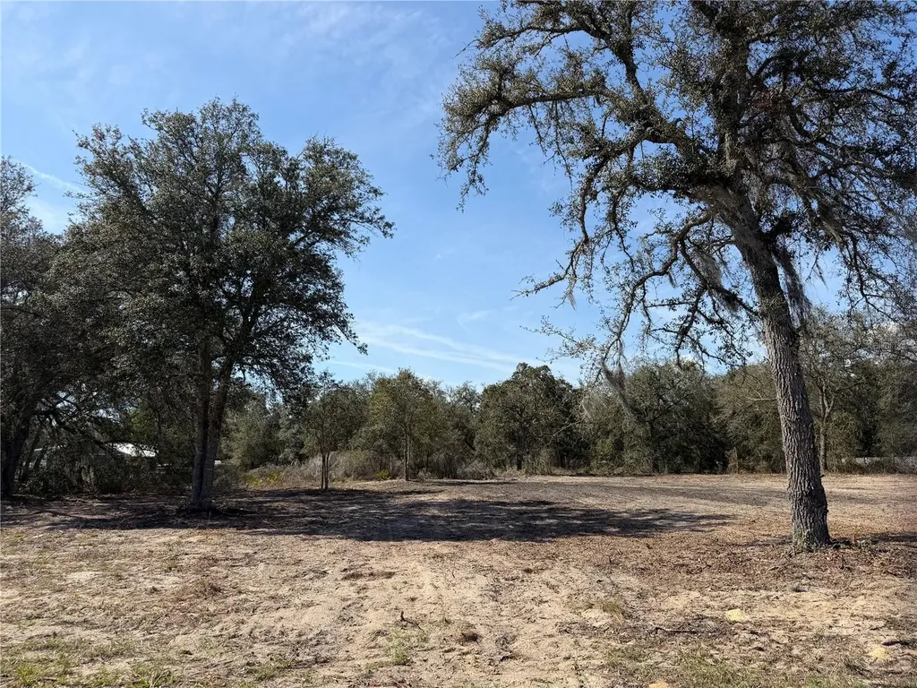 Tbd NE 106th Terrace Bronson FL 32621