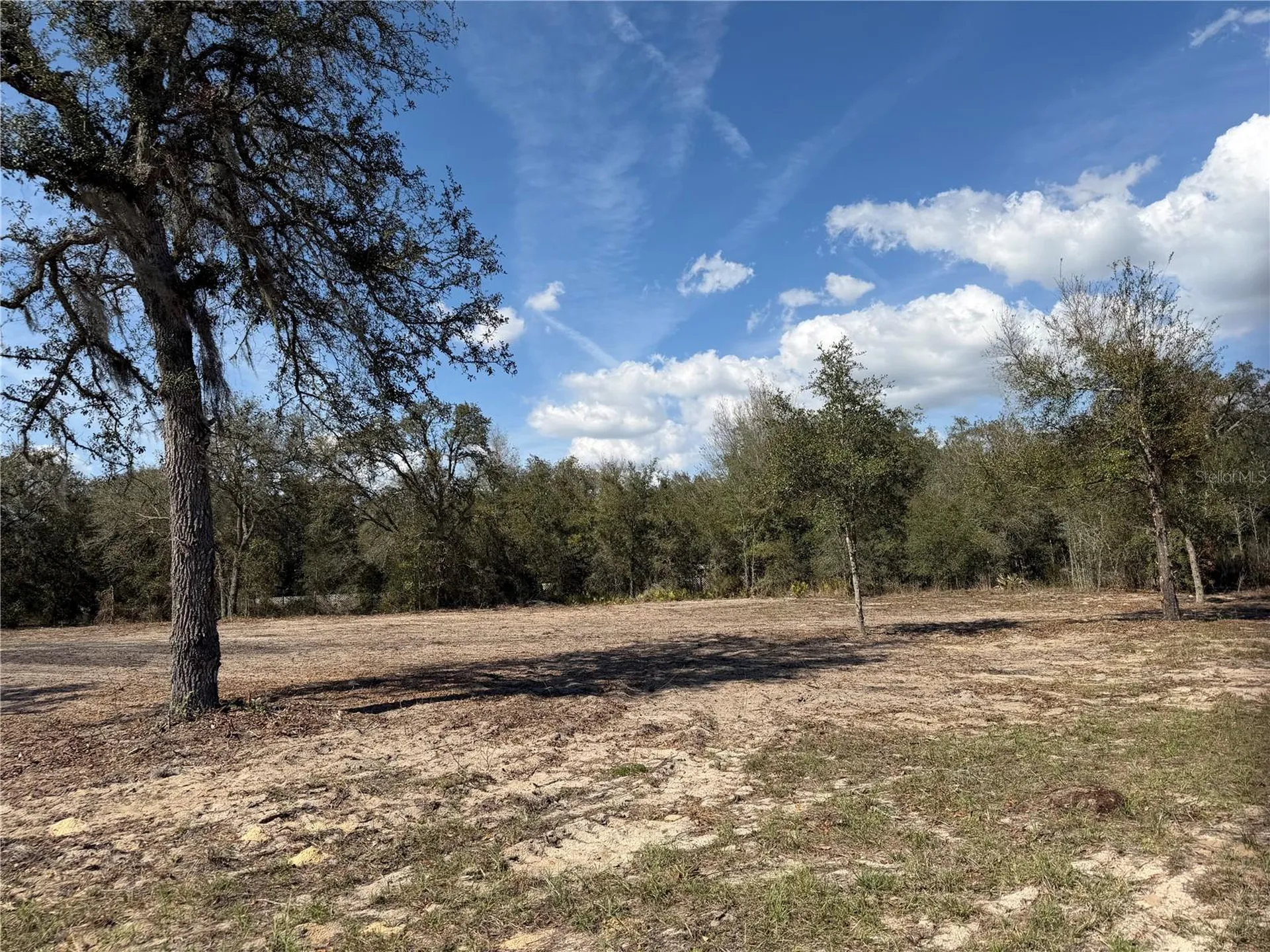 Tbd NE 106th Terrace Bronson FL 32621