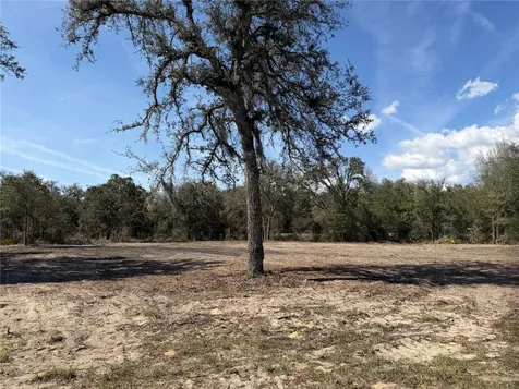 Tbd NE 106th Terrace Bronson FL 32621