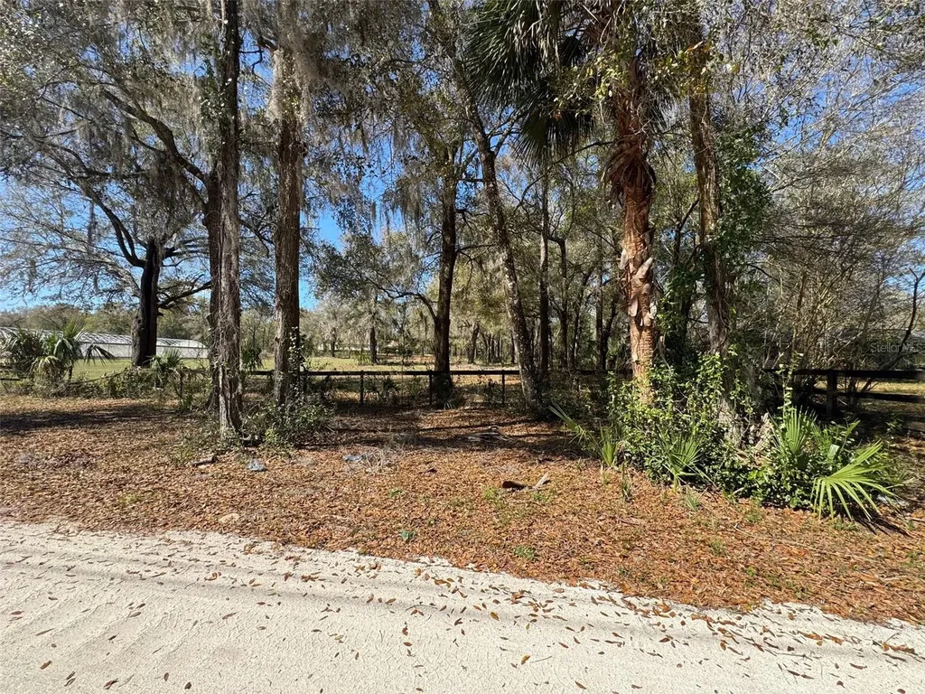 1065 S Massachusetts Avenue Deland FL 32724