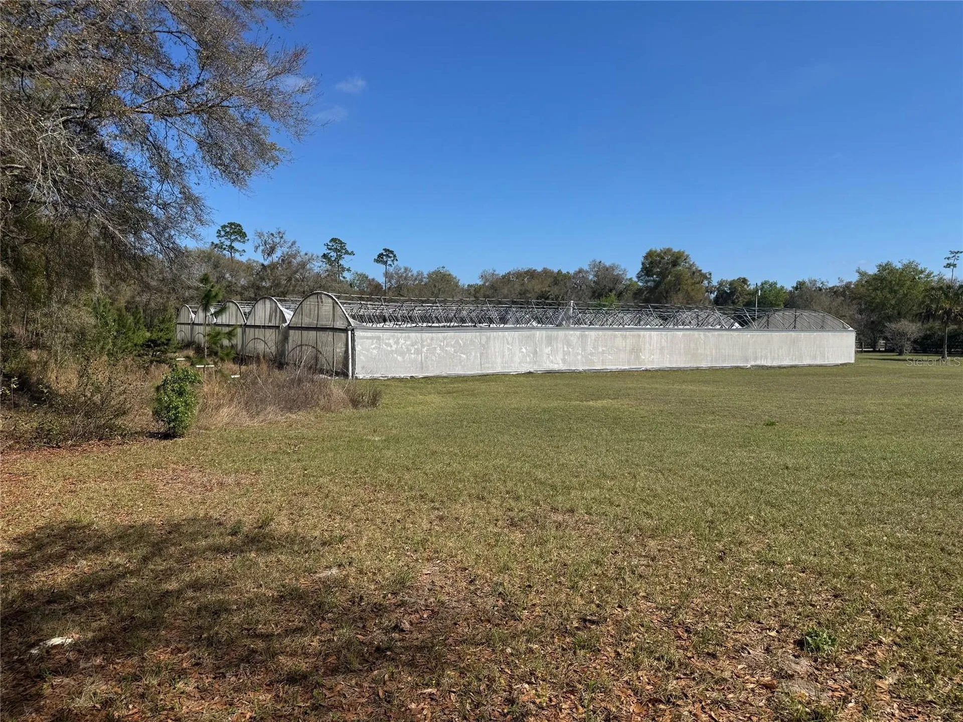 1065 S Massachusetts Avenue Deland FL 32724