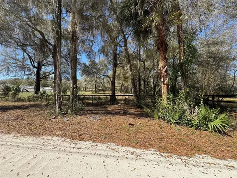 1065 S Massachusetts Avenue Deland FL 32724