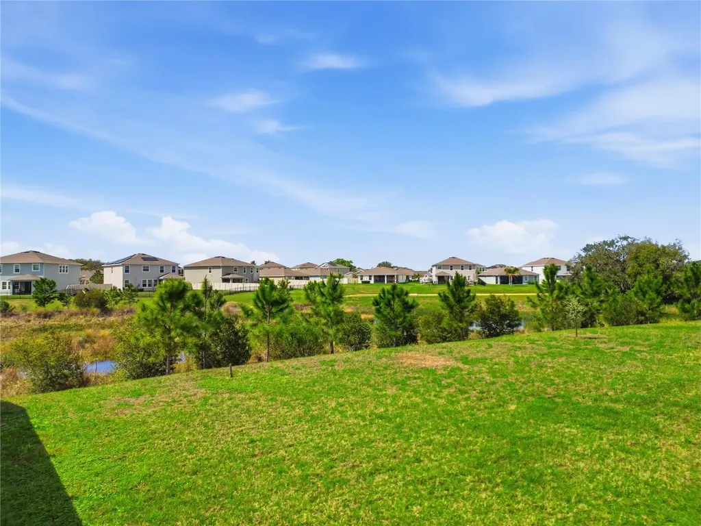 10885 Penny Gale Loop San Antonio FL 33576