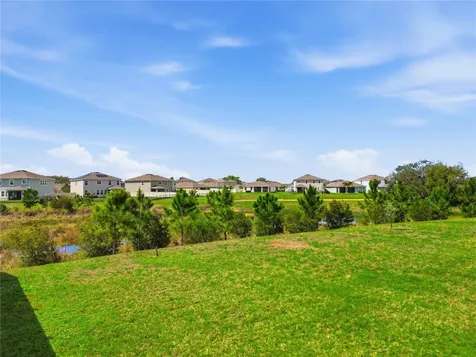 10885 Penny Gale Loop San Antonio FL 33576