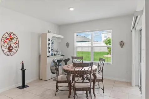 3817 Heartleaf Lane Mount Dora FL 32757