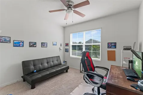 3817 Heartleaf Lane Mount Dora FL 32757