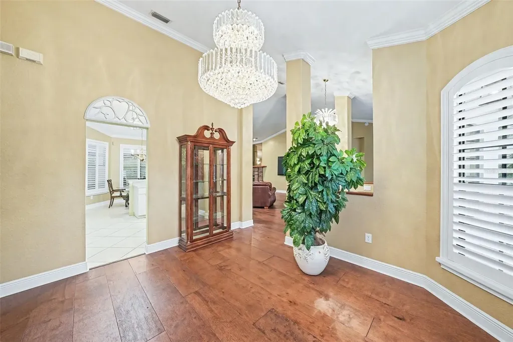 19216 Ridgelake Drive Lutz FL 33549