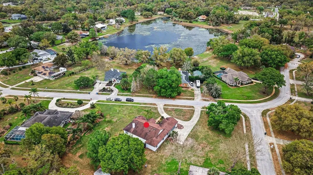 19216 Ridgelake Drive Lutz FL 33549