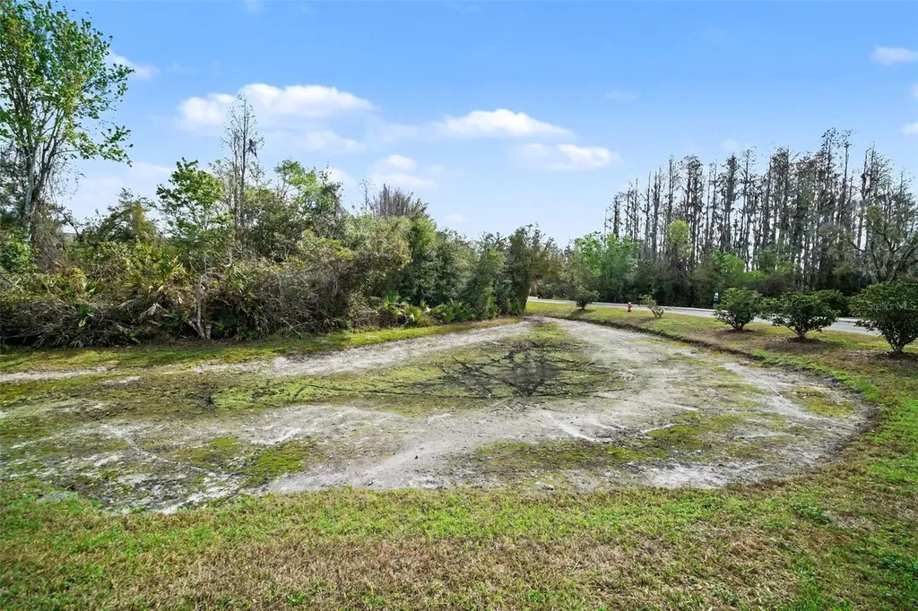 1246 Charlesworth Drive Wesley Chapel FL 33543