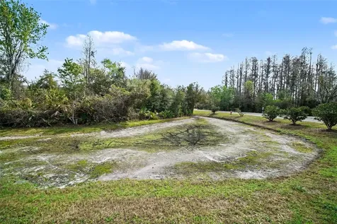 1246 Charlesworth Drive Wesley Chapel FL 33543