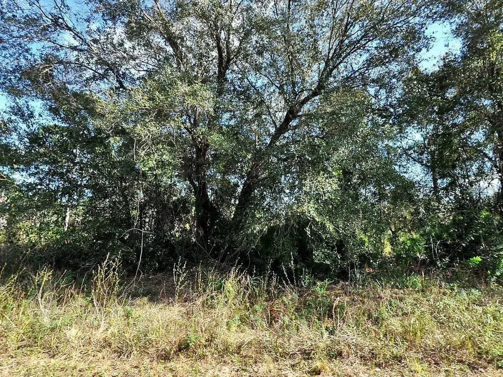 Longfellow Lane North Port FL 34288