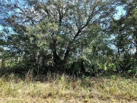 Longfellow Lane North Port FL 34288