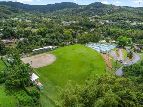 Pr 757 Km 1.7 Int Lot 4 La Ceiba Pollos Ward Patillas PR 00723