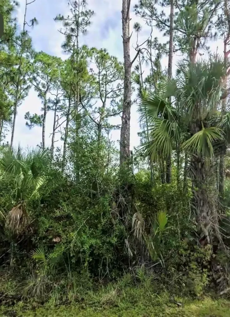 Lot 17 Donatello Avenue North Port FL 34286