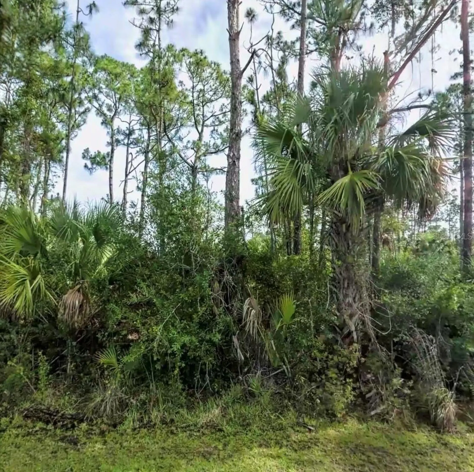 Lot 17 Donatello Avenue North Port FL 34286