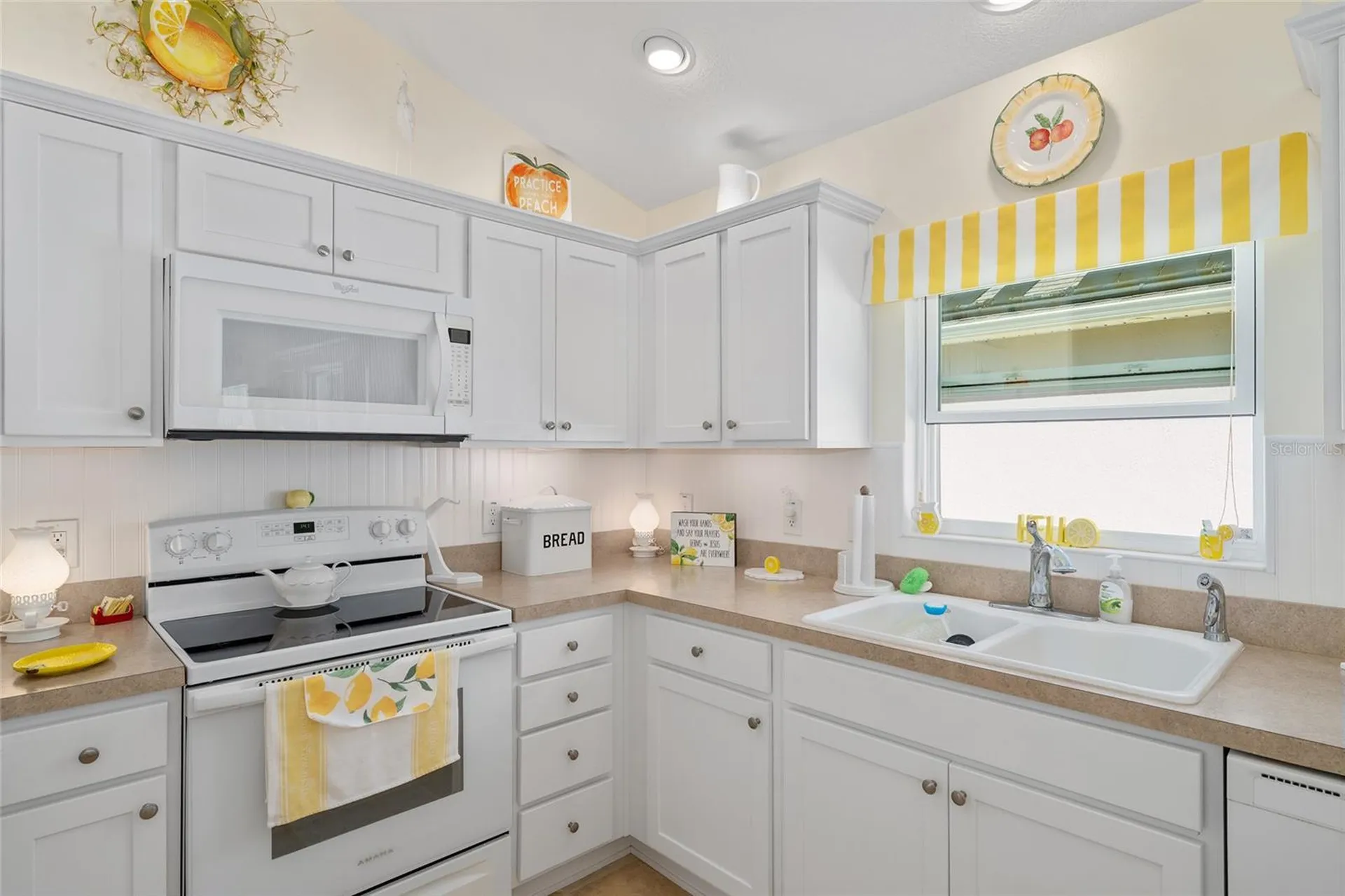 16673 SE 92nd Stokes Court The Villages FL 32162