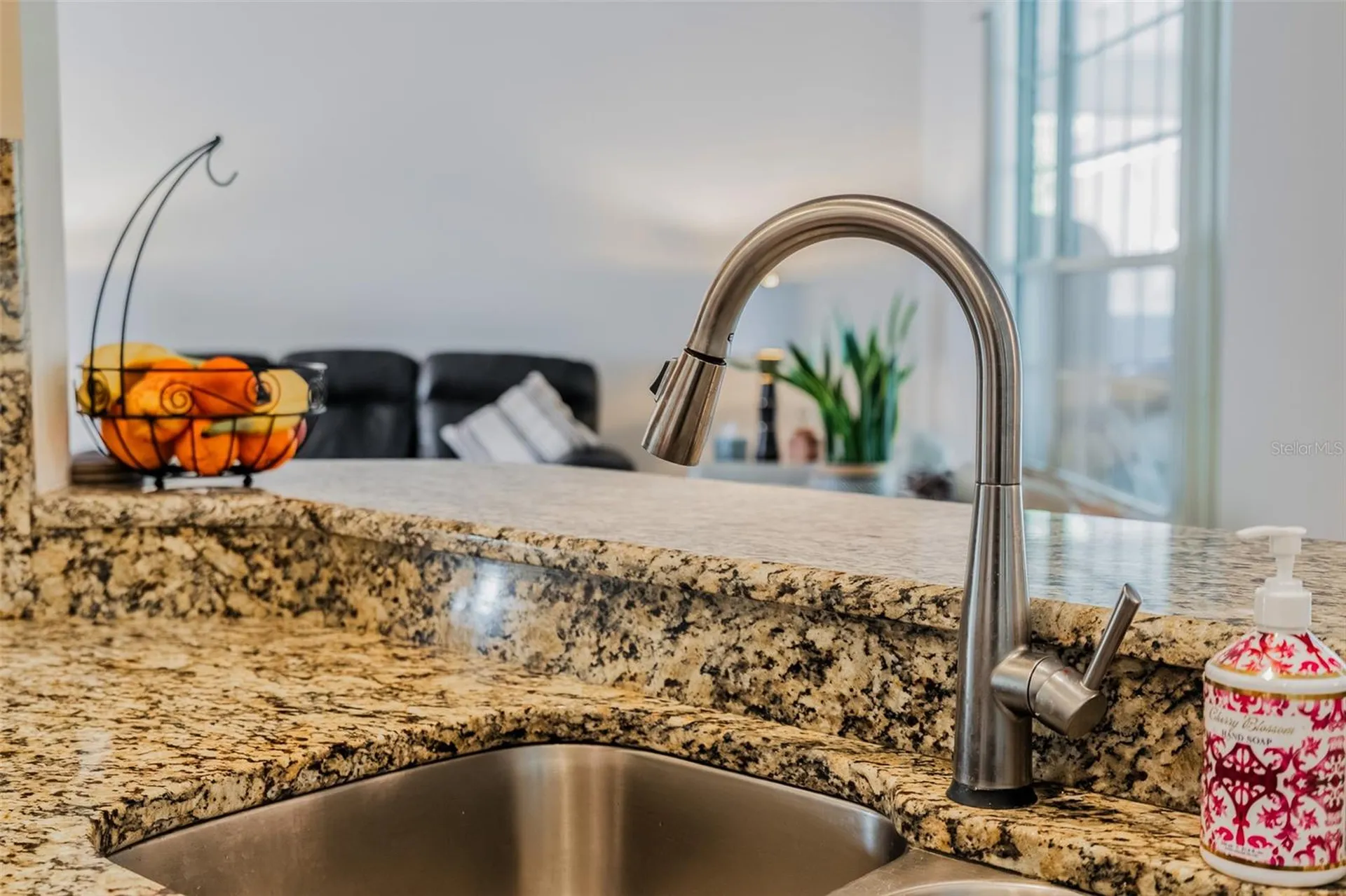 3402 Black Willow Trail Deland FL 32724