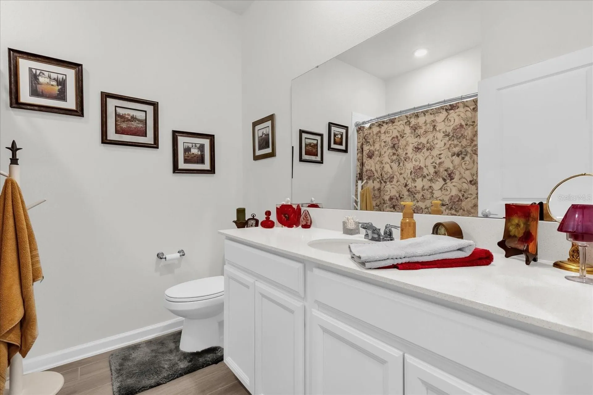 33655 Sky Blossom Circle Leesburg FL 34788