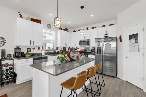 33655 Sky Blossom Circle Leesburg FL 34788