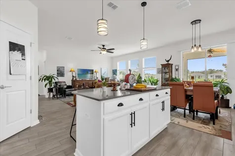 33655 Sky Blossom Circle Leesburg FL 34788