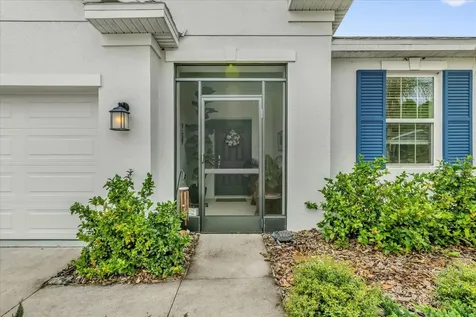 33655 Sky Blossom Circle Leesburg FL 34788