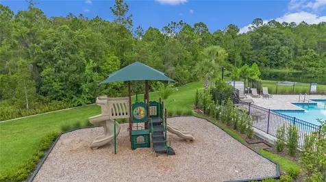 4131 Tree Swallow Trail St Cloud FL 34772