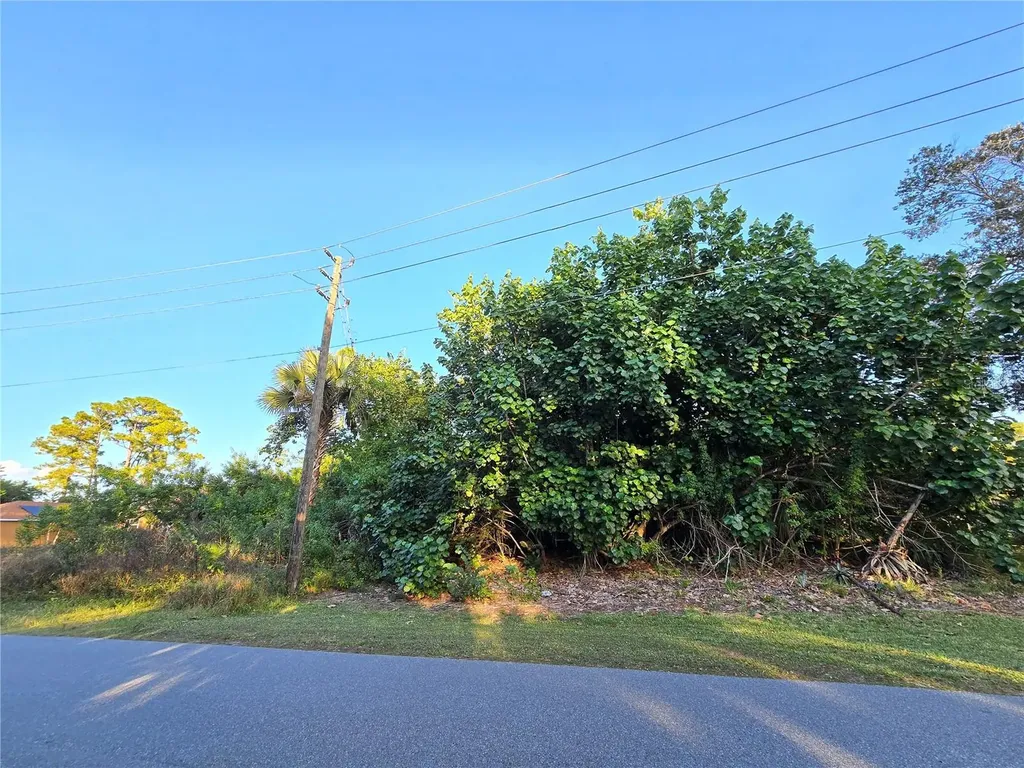 1667 Red Bud Circle NW Palm Bay FL 32907