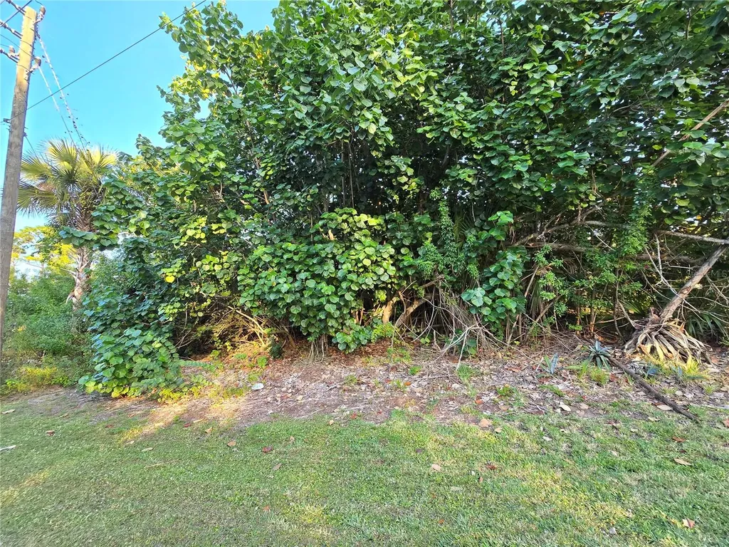 1667 Red Bud Circle NW Palm Bay FL 32907