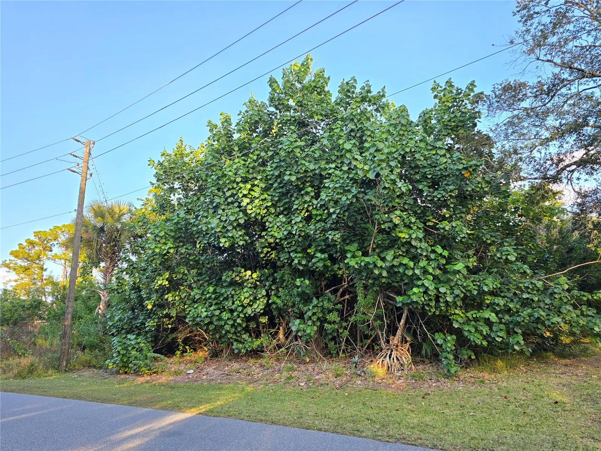 1667 Red Bud Circle NW Palm Bay FL 32907