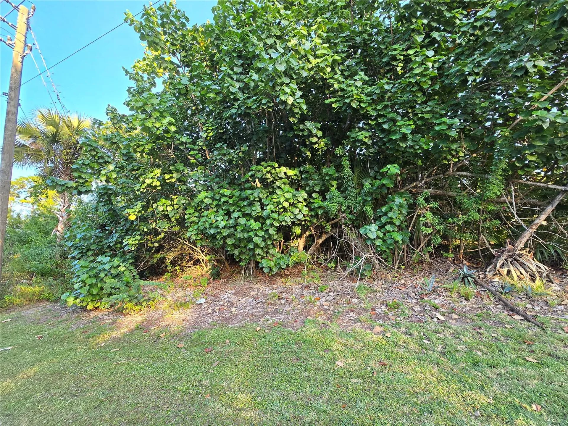 1667 Red Bud Circle NW Palm Bay FL 32907