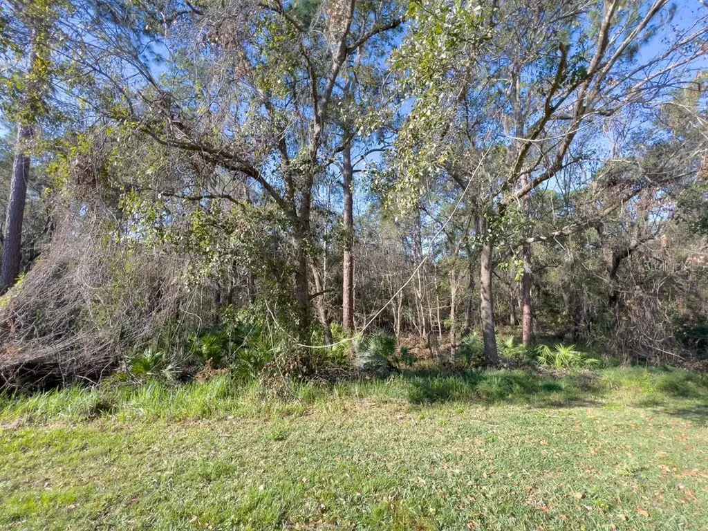5874 Fishhawk Ridge Drive Lithia FL 33547