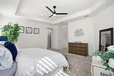 32626 Tree Of Life Avenue Wesley Chapel FL 33543