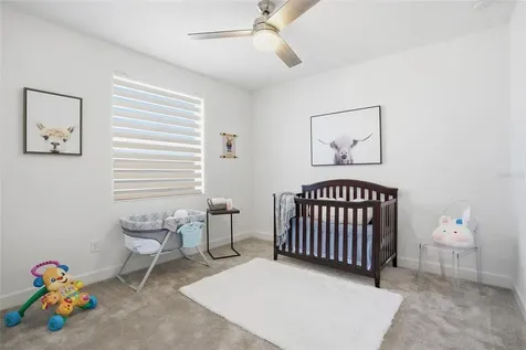 32626 Tree Of Life Avenue Wesley Chapel FL 33543