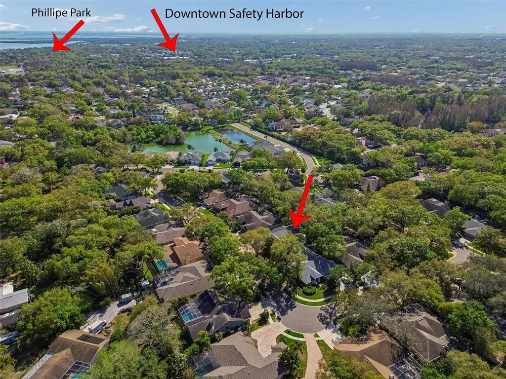 1709 La Forest Avenue Safety Harbor FL 34695