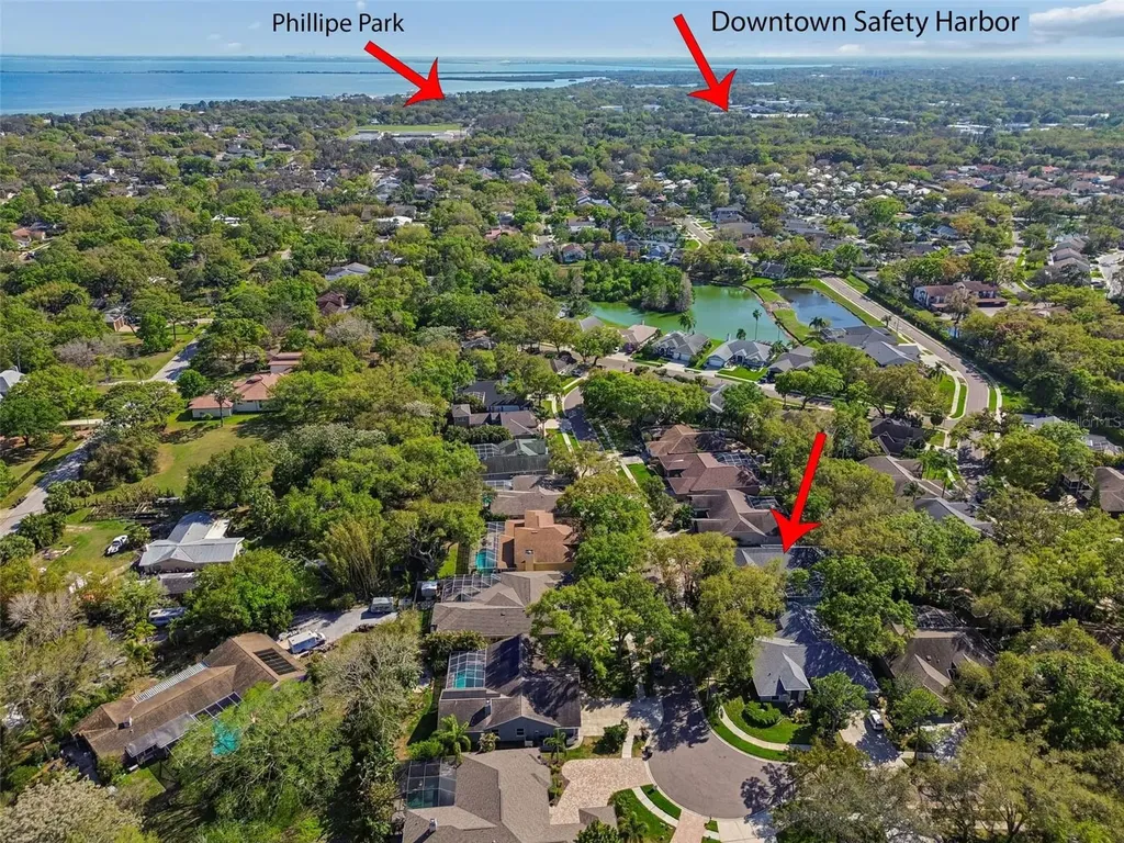 1709 La Forest Avenue Safety Harbor FL 34695