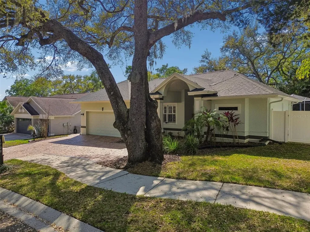 1709 La Forest Avenue Safety Harbor FL 34695