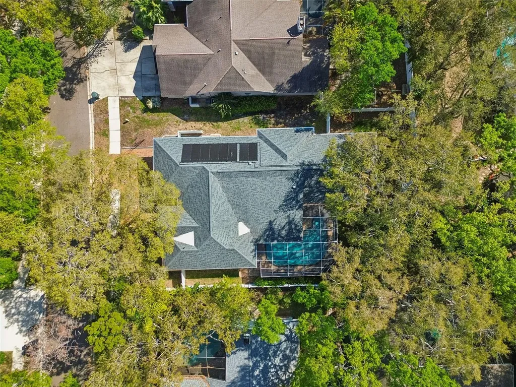 1709 La Forest Avenue Safety Harbor FL 34695