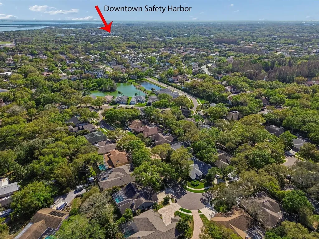1709 La Forest Avenue Safety Harbor FL 34695