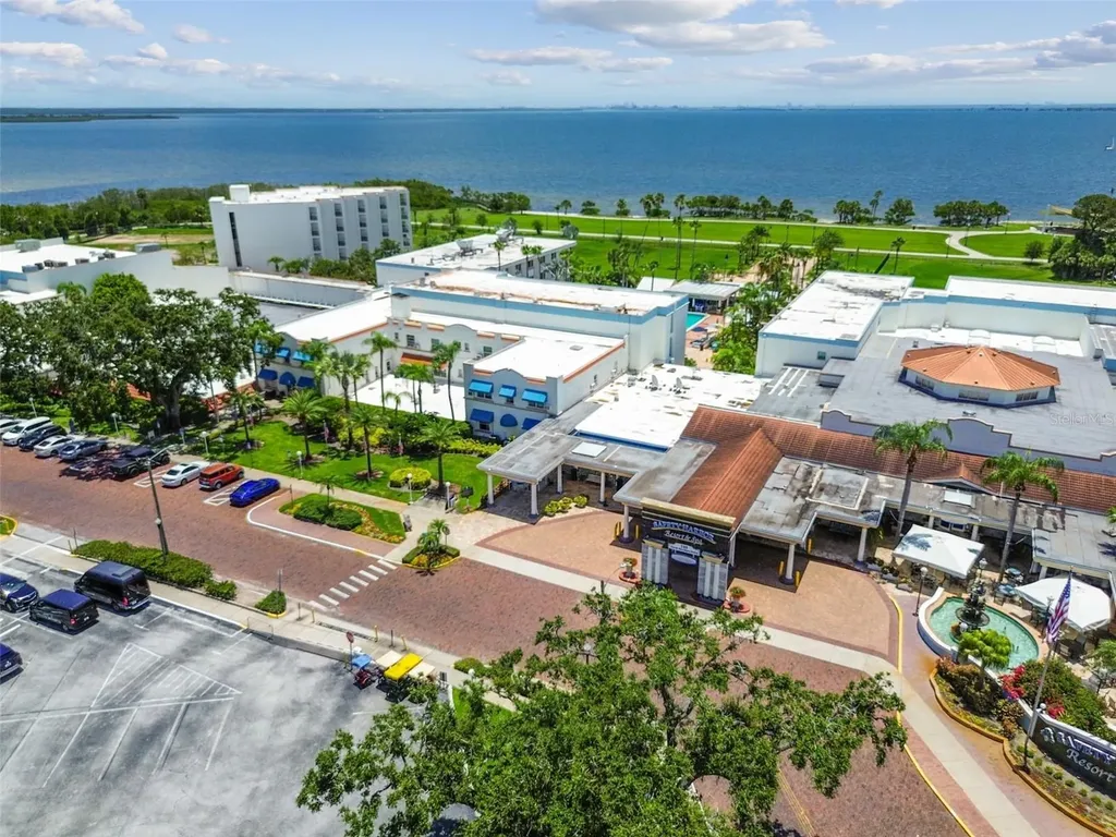 1709 La Forest Avenue Safety Harbor FL 34695