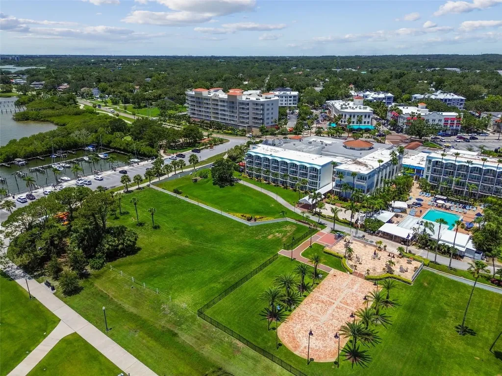 1709 La Forest Avenue Safety Harbor FL 34695